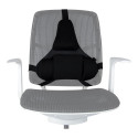 Fellowes Ergonomics professional back support pillow