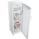 Hisense FV245N4AW2, freezer (white)