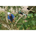 Bosch UniversalChainPole 18 solo Cordless Pole Pruner