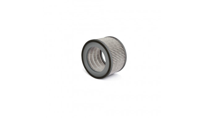 AirFresh Clean 300 filter