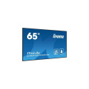 iiyama 65&quot; 4K UHD Professional Digital Signage 24/7 display featuring Android OS, FailOver 