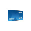 iiyama 65&quot; 4K UHD Professional Digital Signage 24/7 display featuring Android OS, FailOver 