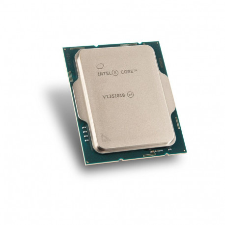 Core™ i5-13500T (salveversioon)