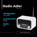 AD 1185 Raadio bluetooth