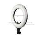 Caruba Round Vlogger 12 inch LED Set met Tas Zwart