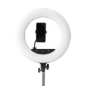 Caruba RGB Round Vlogger 18 inch LED Set met Tas Roze