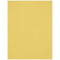 Westcott X Drop Kreukbestendige Achtergrond Kanarie Geel (1.5 x 2.1 m)