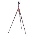 3 Legged Thing Pro 2.0 Leo Carbon tripod & AirHed Pro LV Bronze