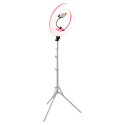 Caruba Round Vlogger 18 inch LED Set Economy met Tas Roze