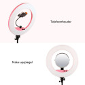 Caruba Round Vlogger 18 inch LED Set Economy met Tas Roze