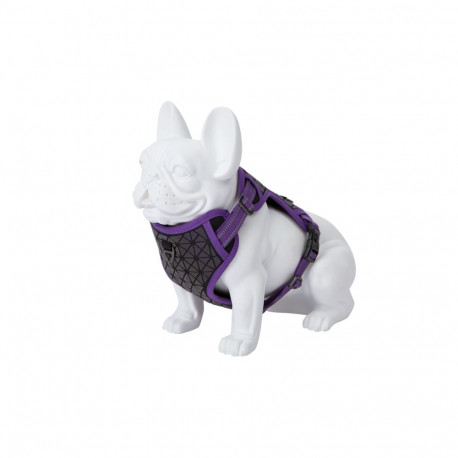 Freedog Boreal lilac braces for dogs 25mm 45-90cm