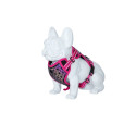 Freedog Boreal fuksiaroosad traksid koerale 25mm 45-90cm