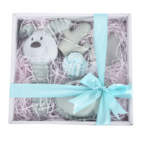 Barry King sinine kingitusekomplekt koerale 5in1