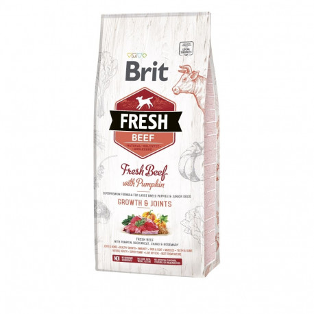 Brit Fresh Beef & Pumpkin Puppy Large Bones & Joints complete food for dogs 12 kg