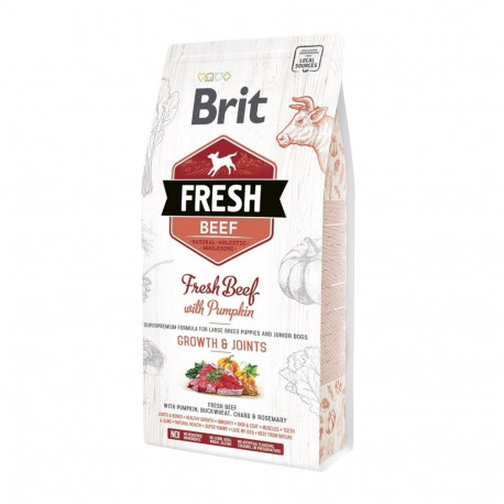 Brit Fresh Beef & Pumpkin Large Bones & Joints complete food for dogs 2,5 kg