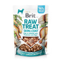 Brit Raw freeze-dried treat Skin & Coat for dogs 40g