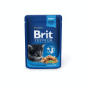 Brit Premium Chicken Chunks in Gravy märgtoit kassipoegadele 100g