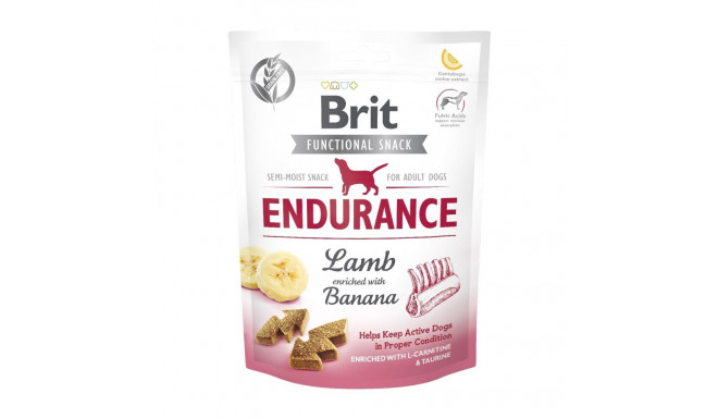 Brit Care Functional Endurance närimismaius koertele 150g