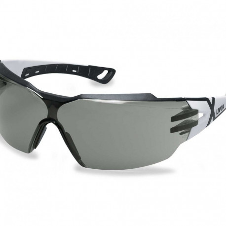 Halli panoraamklaasiga kaitseprillid Uvex Pheos CX2