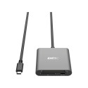 Emtec Card Reader Type-C