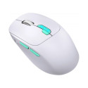 Wireless Mouse Nitta MM -307 WHITE 1600DPI