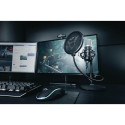 MICROPHONE GXT 252 EMITA/21753 TRUST