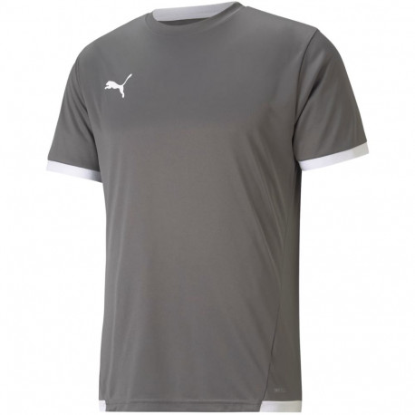 Puma meeste särk teamLIGA Jersey 704917 13 L, hall
