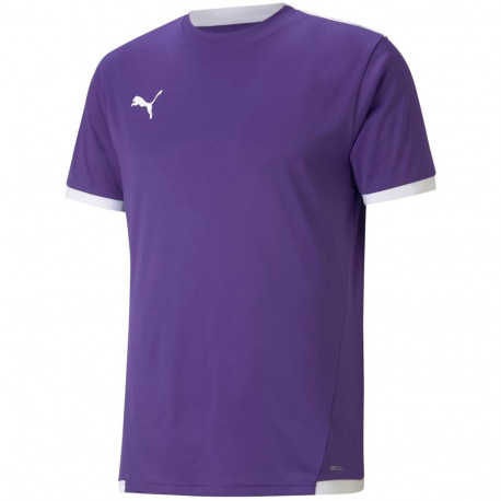 Puma meeste särk teamLIGA Jersey 704917 10 2XL, lilla