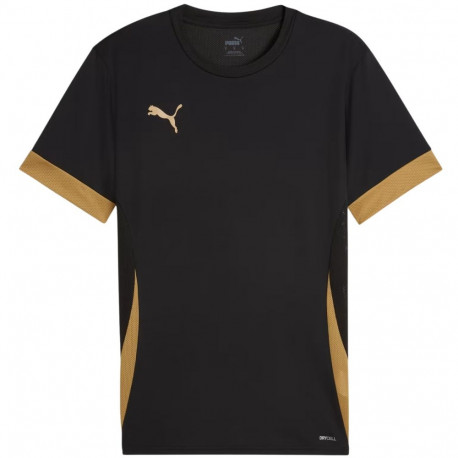 Puma meeste särk teamGoal Matchday Jersey 705747 28 L, must-kuldne
