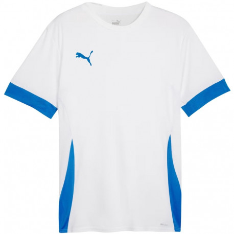 Puma meeste särk teamGoal Matchday Jersey 705747 12 M, valge-sinine