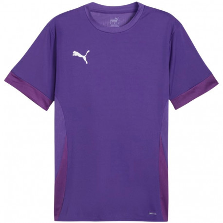 Puma meeste särk teamGoal Matchday Jersey 705747 10 2XL, lilla