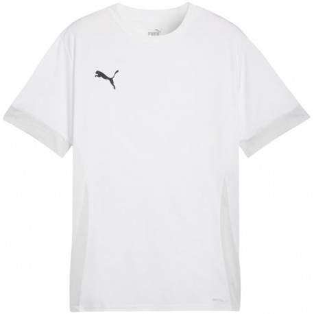 Puma meeste särk teamGoal Matchday Jersey 705747 04 M, valge