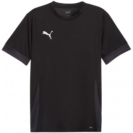Puma meeste mängusärk teamGoal Matchday Jersey 705747 03 M, must