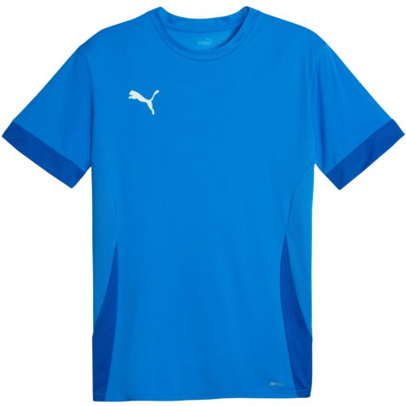 Puma meeste spordisärk teamGoal Matchday Jersey 705747 02 L, sinine
