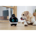 Enabot EBO X Family Robot with 4K Surveillance Camera