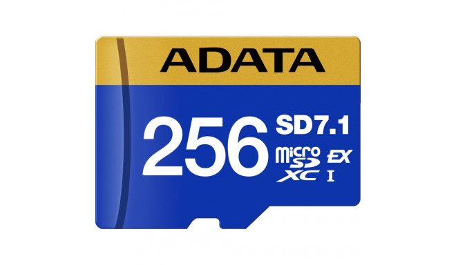ADATA mSD EXPRESS SWITCH 2 256GB PCIe U3 C10 V30 RW:800MBs/700MBs