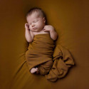 Elinchrom D-Lite RX One Newborn Kit