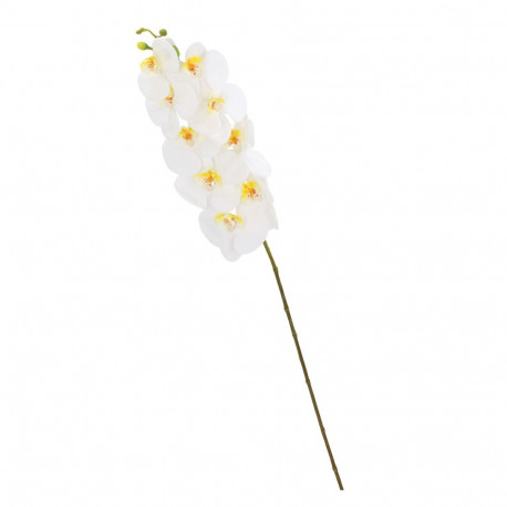 Orchid IN GARDEN H92cm, white phalaenopsis