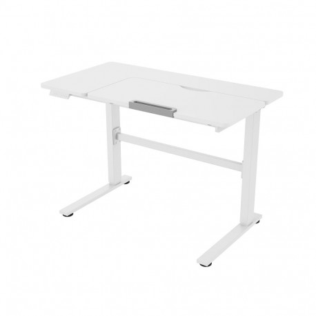 Laste töölaud ERGO KID 1-mootoriga 112x60xH56-80cm, valge