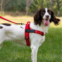 Dog harness REFLECTIVE SILK size S red