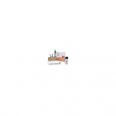 Ricoh 841426 magenta originaal toonerikassett, 1 tk