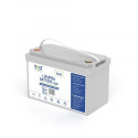 VOLT POLSKA LITHIUM IRON PHOSPHATE LiFePO4 BATTERY 12V 100Ah 100A