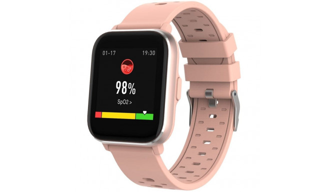 DENVER SW-164 roosa nutikell