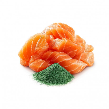 SHELMA with salmon in sauce - wet cat food - 85g