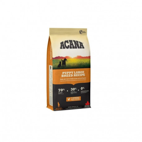 ACANA Dog Puppy Large Breed - dry dog food - 17kg
