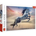Puzzle - 1000 - majesteetlik hobune Trefl 10790