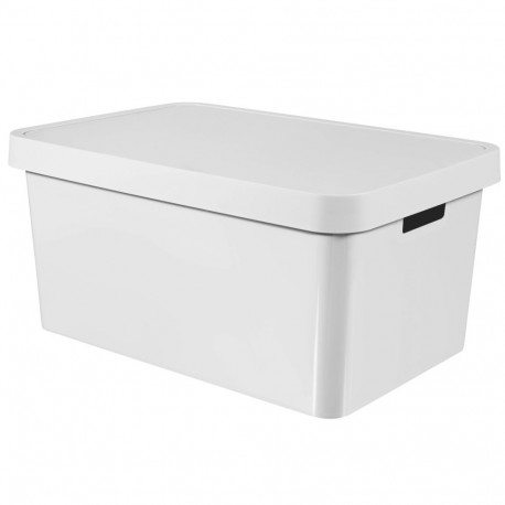 Curver kaanega kast Infinity 45L 56x39x27cm, valge