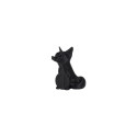 3D Prima 12355 3D printing material Polylactic acid (PLA) Black 1 kg