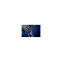 PFERD 11212256 file/rasp