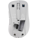 "ASUS MD102 Maus, weiß, Silent"